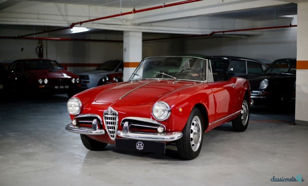 1961' Alfa Romeo Giulietta photo #5