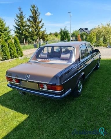 1979' Mercedes-Benz W123 photo #6