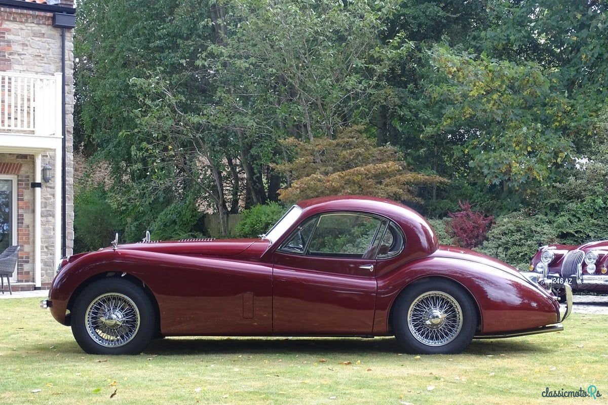 1953' Jaguar XK photo #4