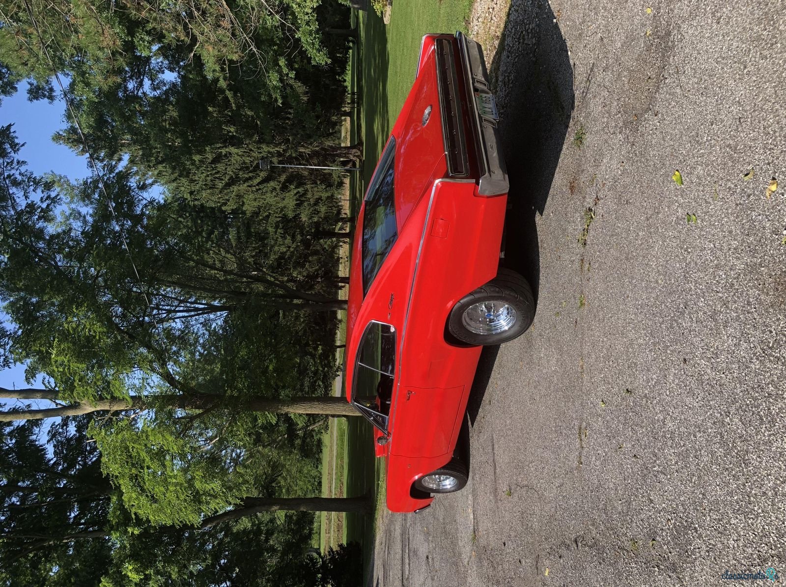 1966' Dodge Charger photo #4