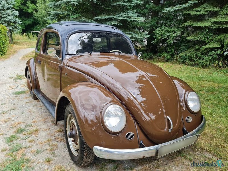 1954' Volkswagen Garbus photo #2