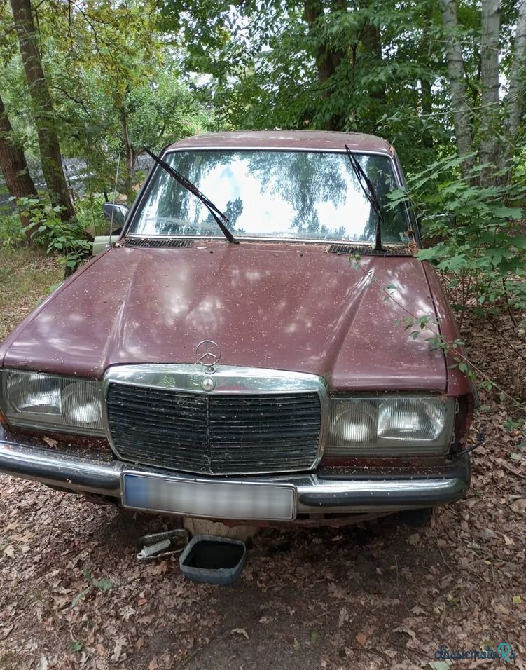 1977' Mercedes-Benz W123 photo #1