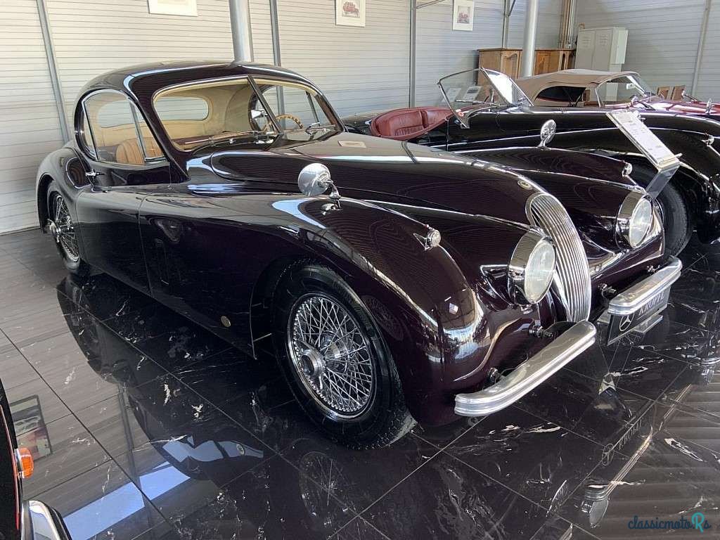 1952' Jaguar XK photo #1
