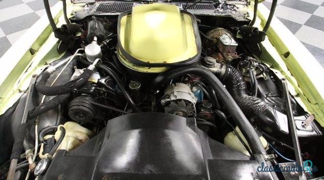 1979' Pontiac Firebird photo #2