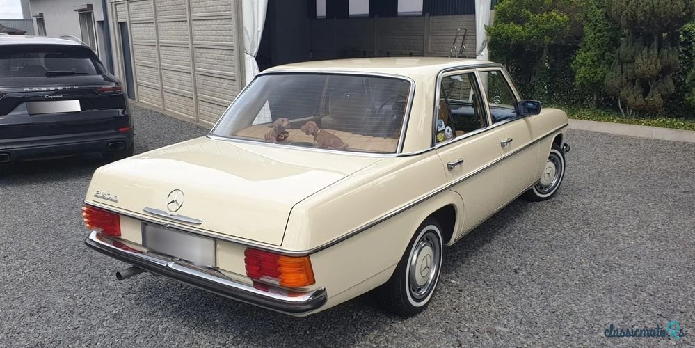 1976' Mercedes-Benz W114/W115 photo #5