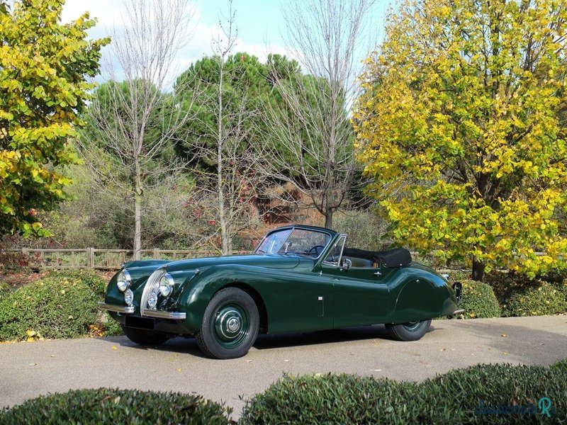 1953' Jaguar Xk120 photo #5