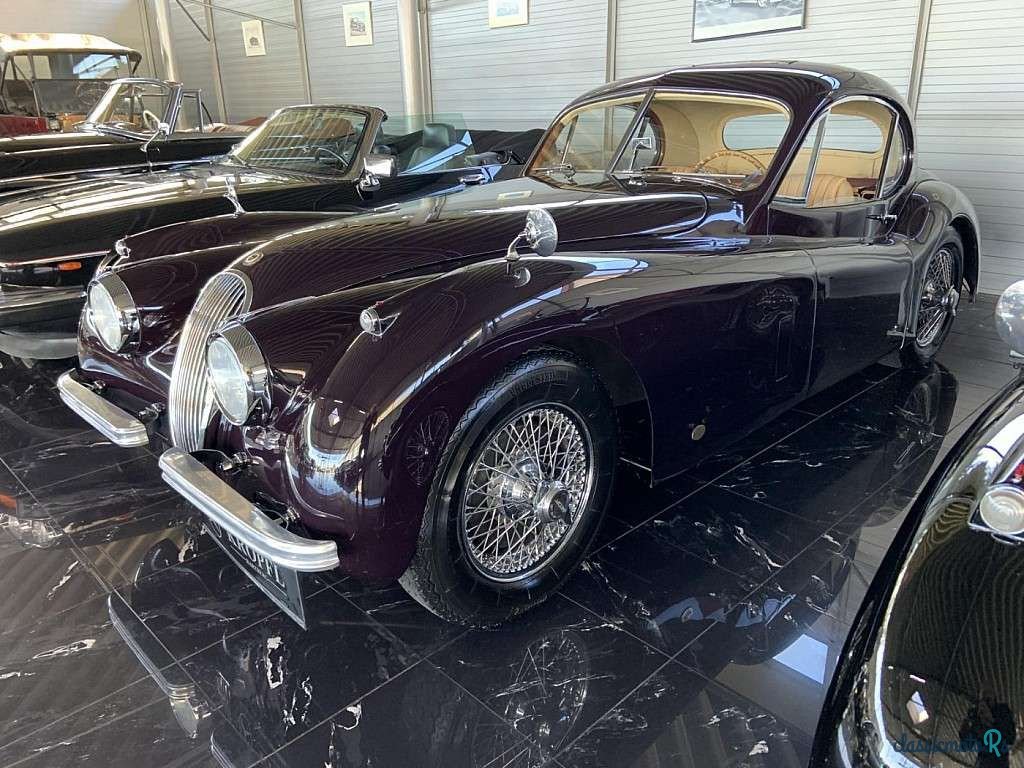 1952' Jaguar XK photo #3