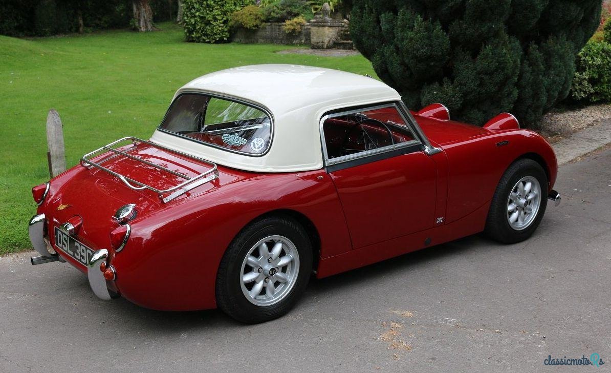1959' Austin-Healey Sprite Mk1 Frogeye photo #4