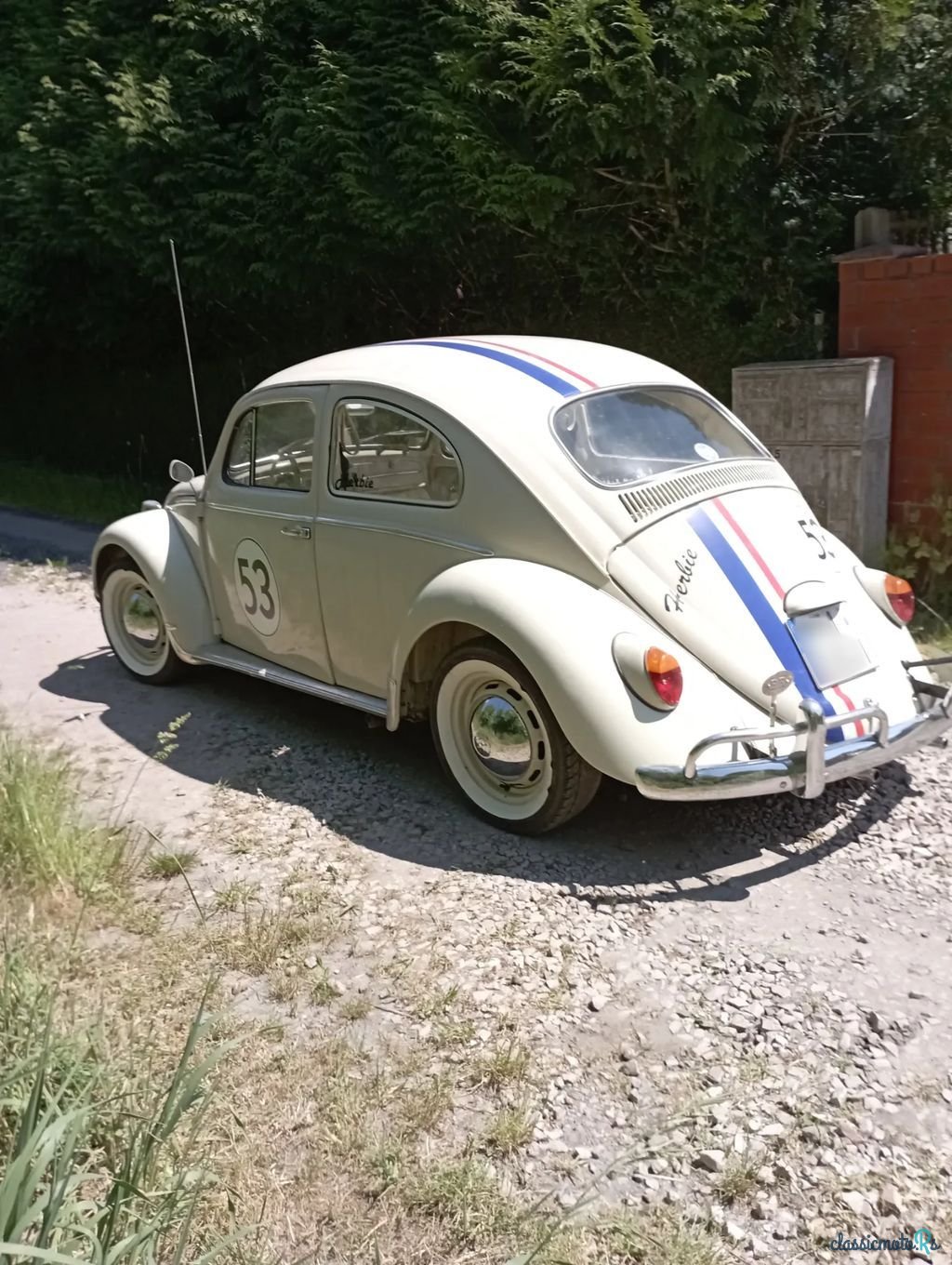 1966' Volkswagen Garbus photo #5