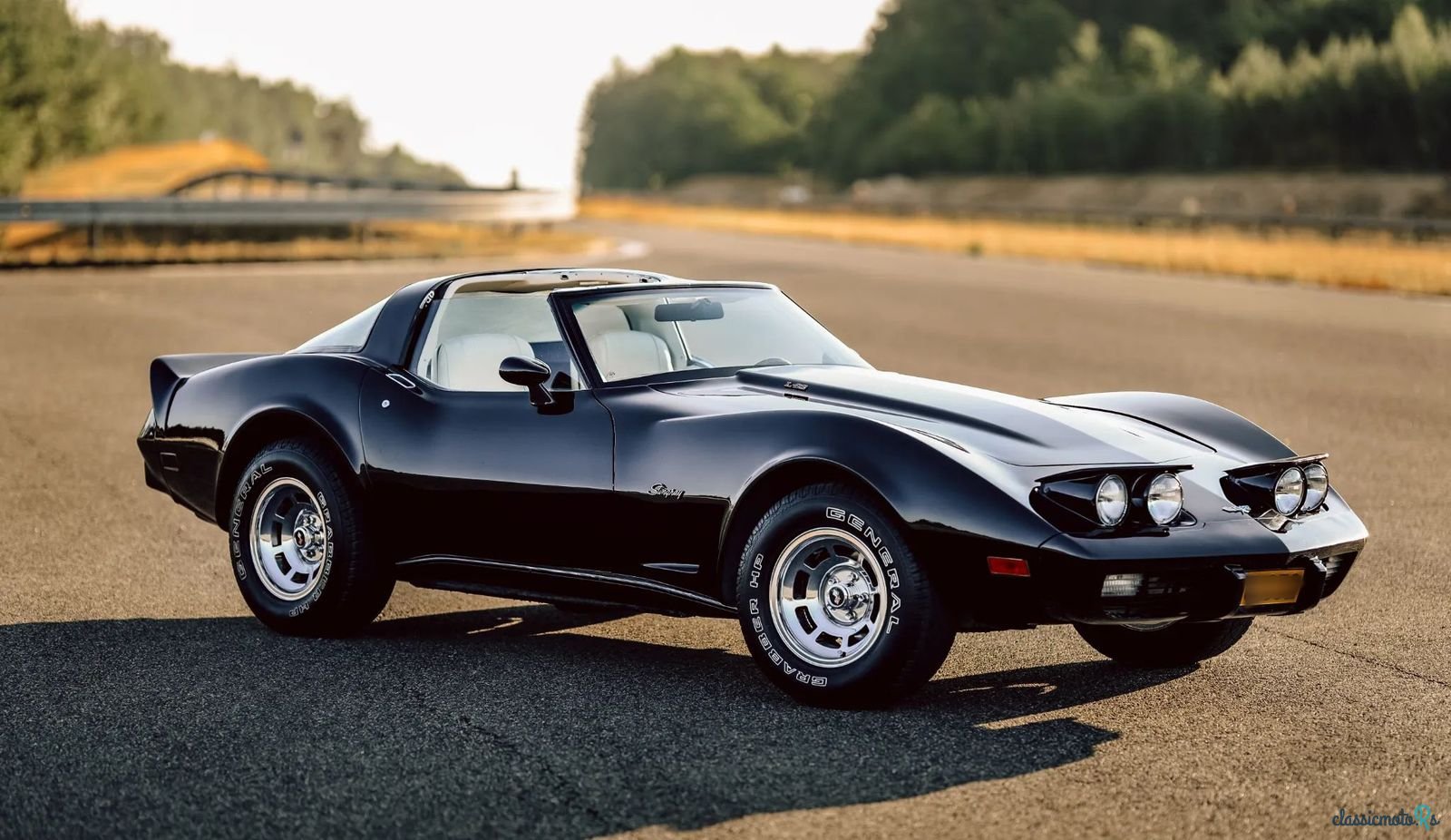 1979' Chevrolet Corvette photo #2