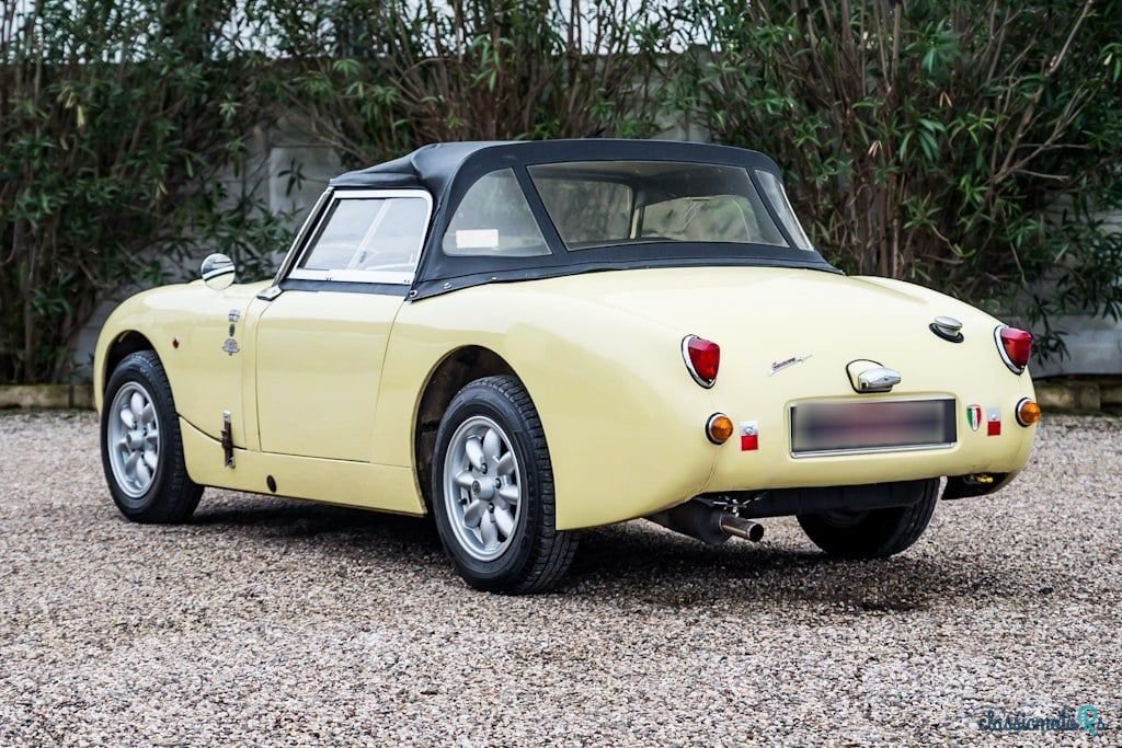 1959' Austin-Healey Sprite photo #5