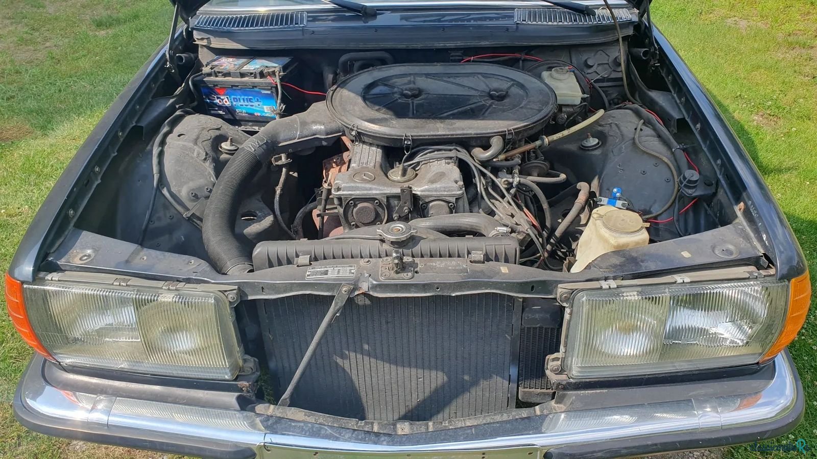 1978' Mercedes-Benz 280 photo #4