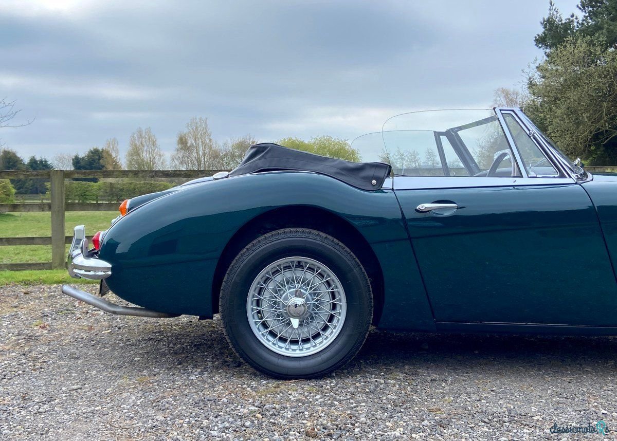 1965' Austin-Healey 3000 photo #6