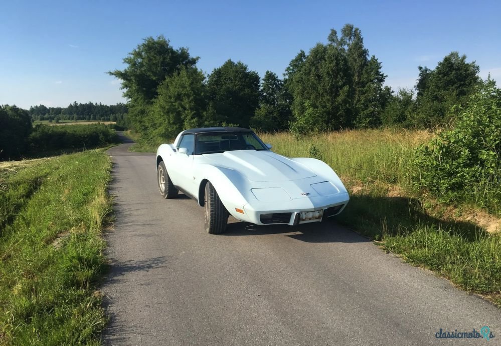 1978' Chevrolet Corvette photo #2