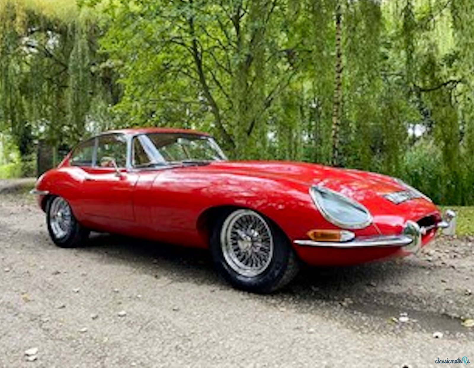 1966' Jaguar E-Type photo #1