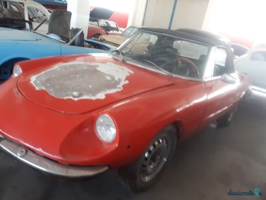 1973' Alfa Romeo Spider photo #3