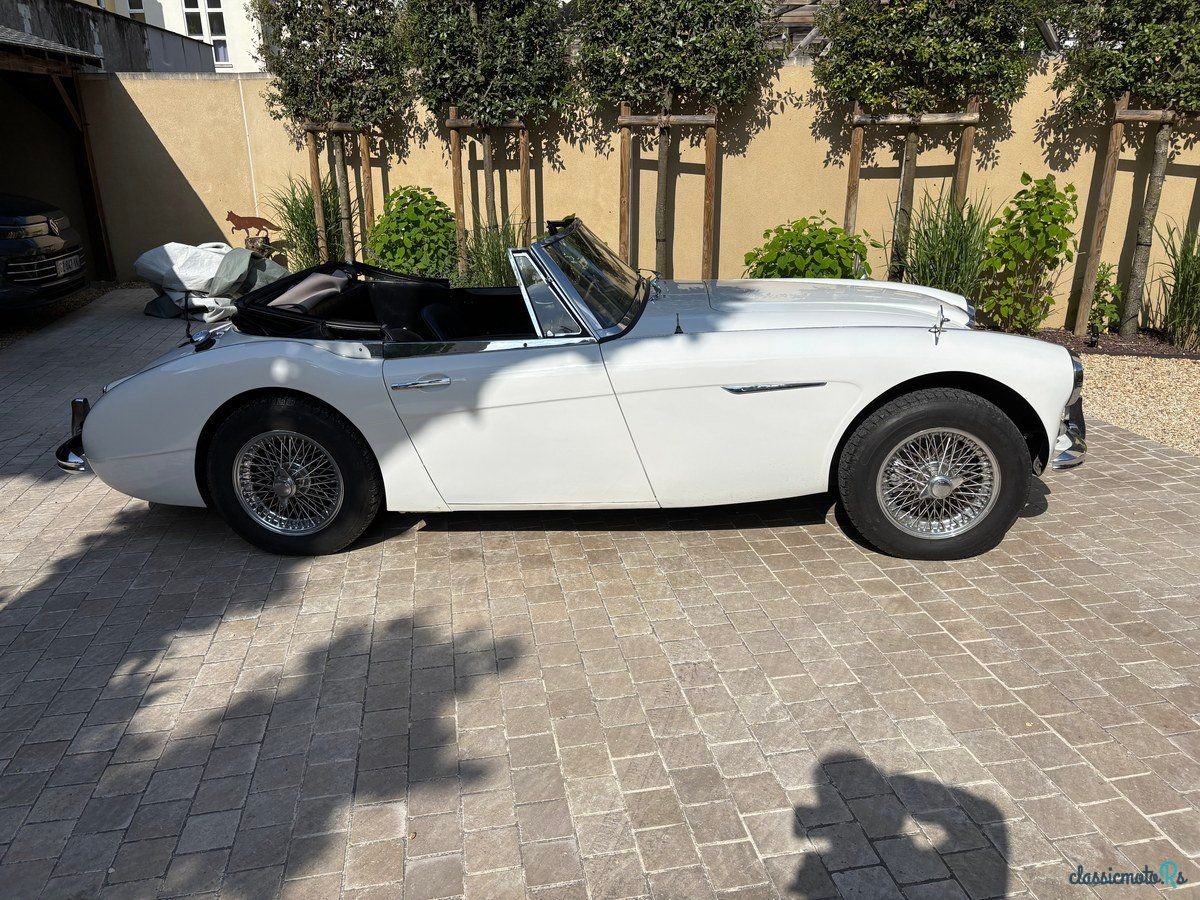 1963' Austin-Healey 3000 photo #4