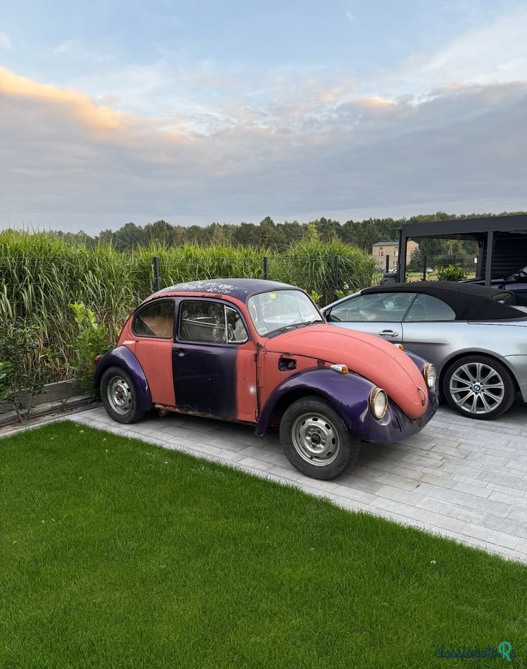 1972' Volkswagen Garbus photo #3