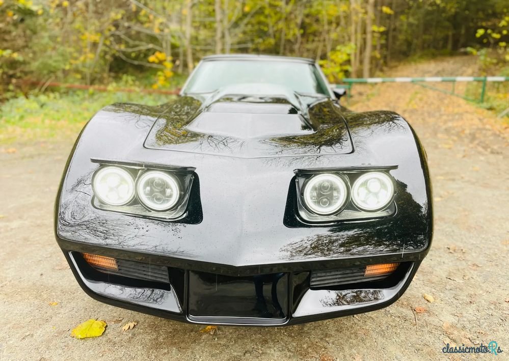 1977' Chevrolet Corvette photo #2