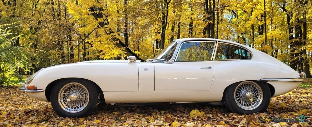 1965' Jaguar E-Type photo #4