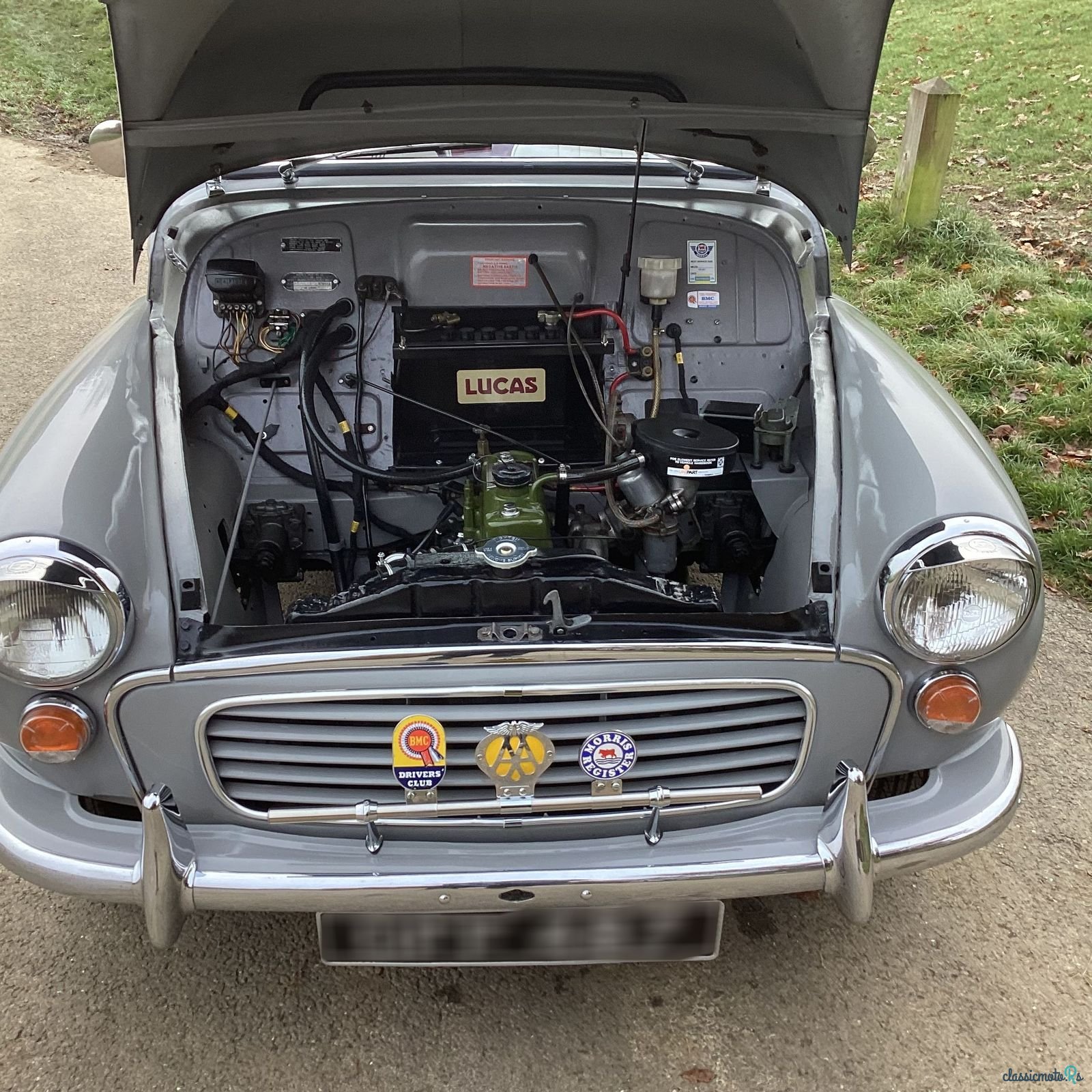 1962' Morris photo #4