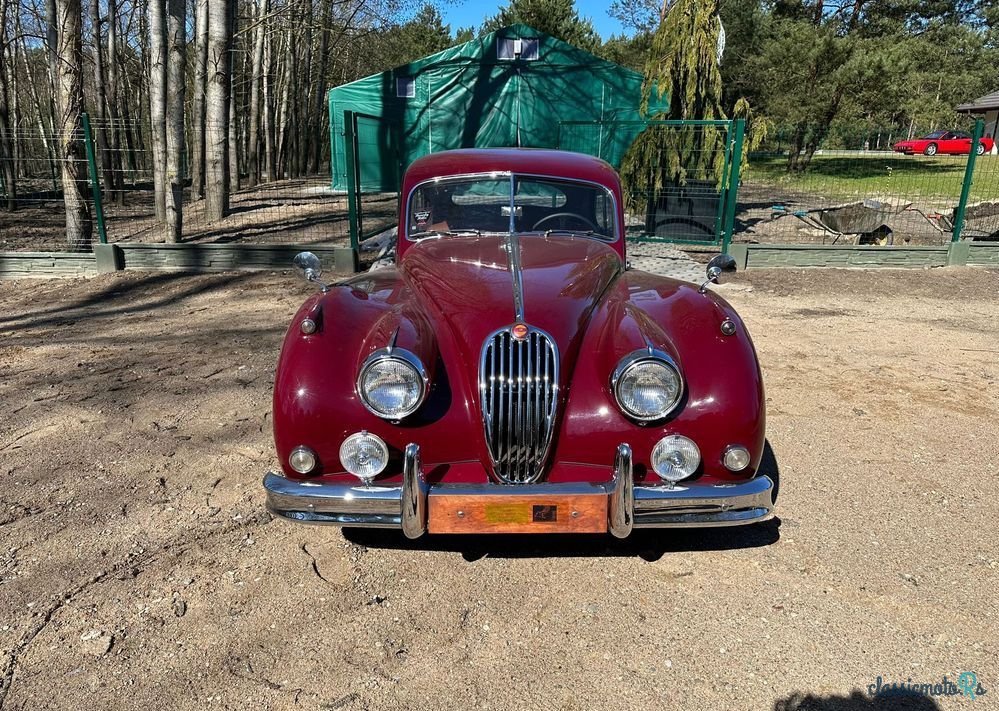 1955' Jaguar XK photo #1