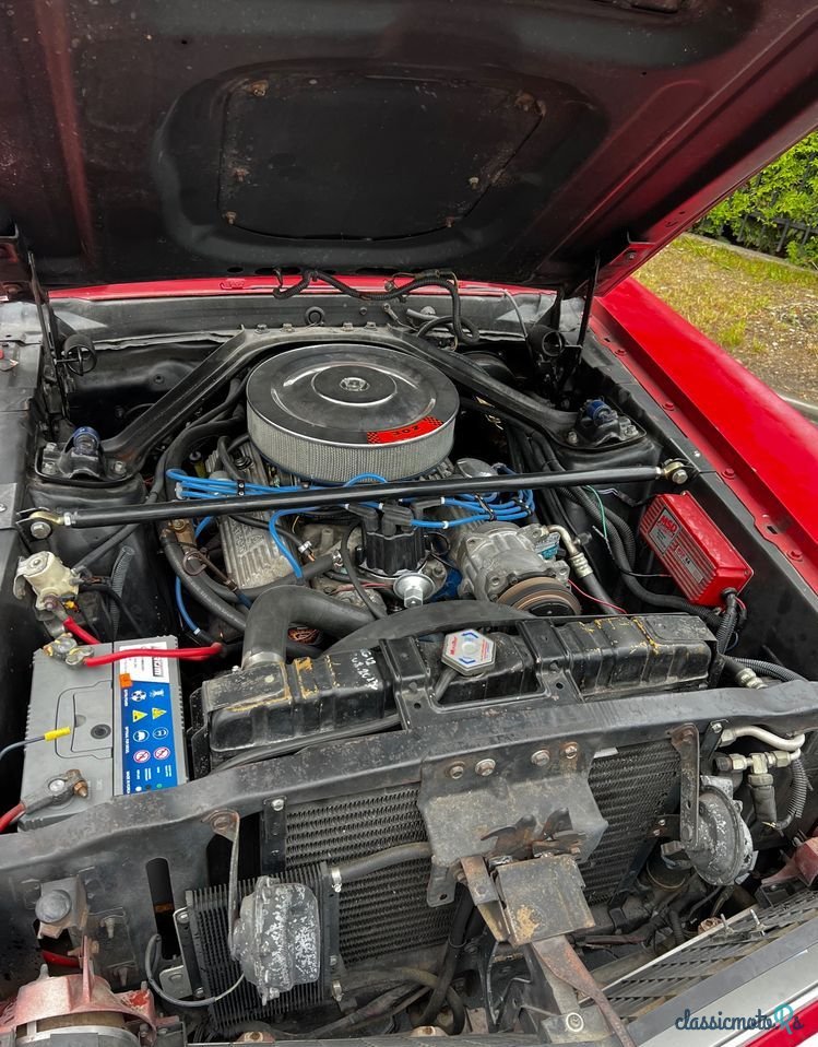 1969' Ford Mustang photo #3