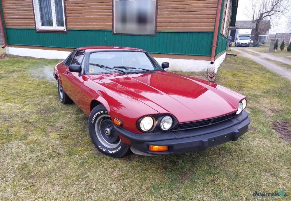 1977' Jaguar XJS photo #1