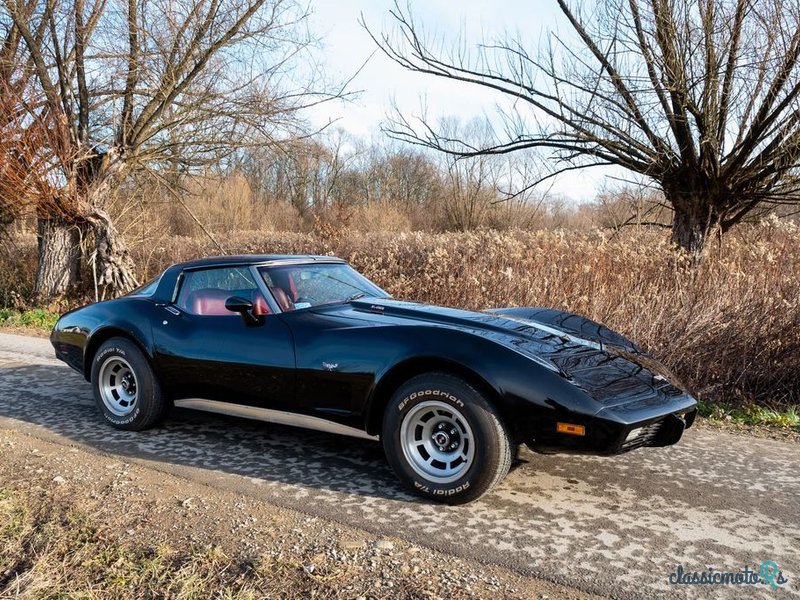 1979' Chevrolet Corvette photo #1