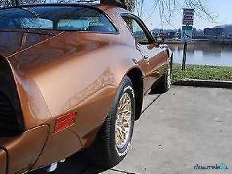 1979' Pontiac Firebird photo #6