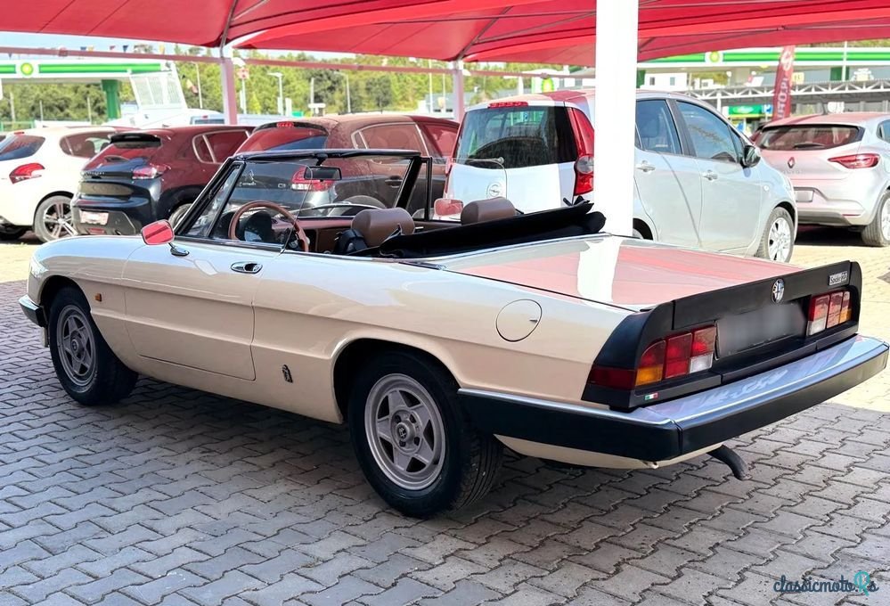 1983' Alfa Romeo Spider photo #3