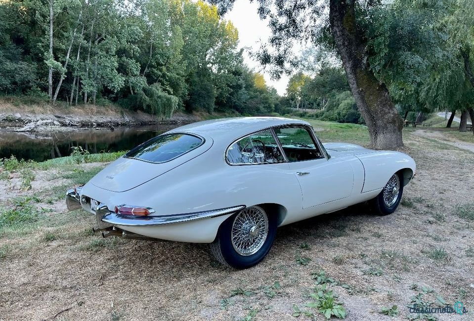 1963' Jaguar E-Type photo #4