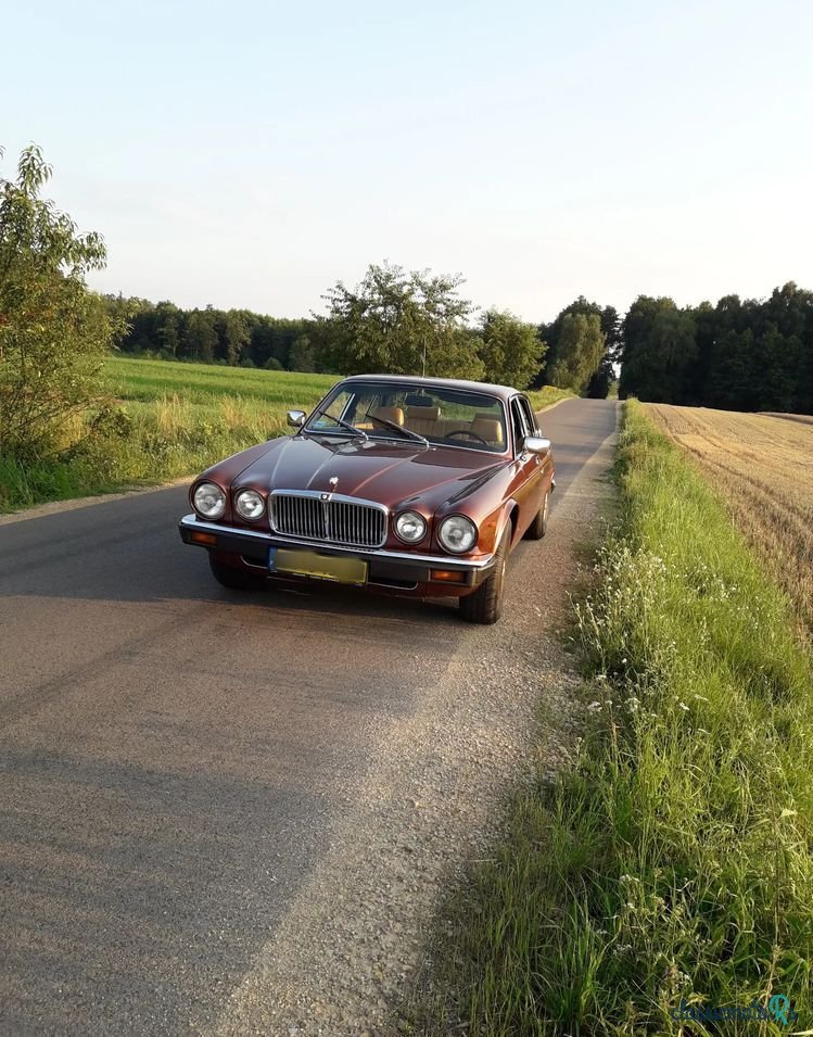 1980' Jaguar XJ photo #3