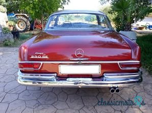 1967' Mercedes-Benz 250 photo #1