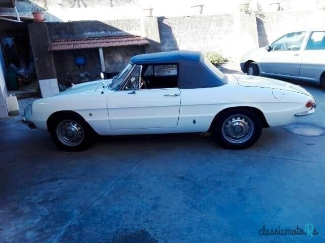 1967' Alfa Romeo Spider photo #4