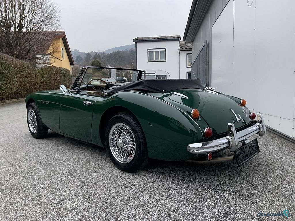 1967' Austin Healey photo #4