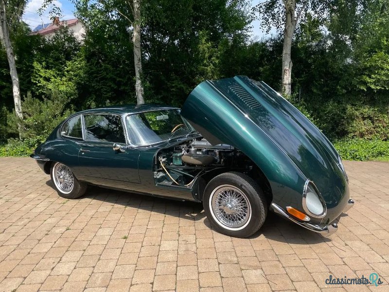 1966' Jaguar E-Type photo #5