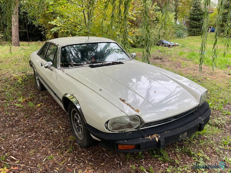 1976' Jaguar XJS photo #4