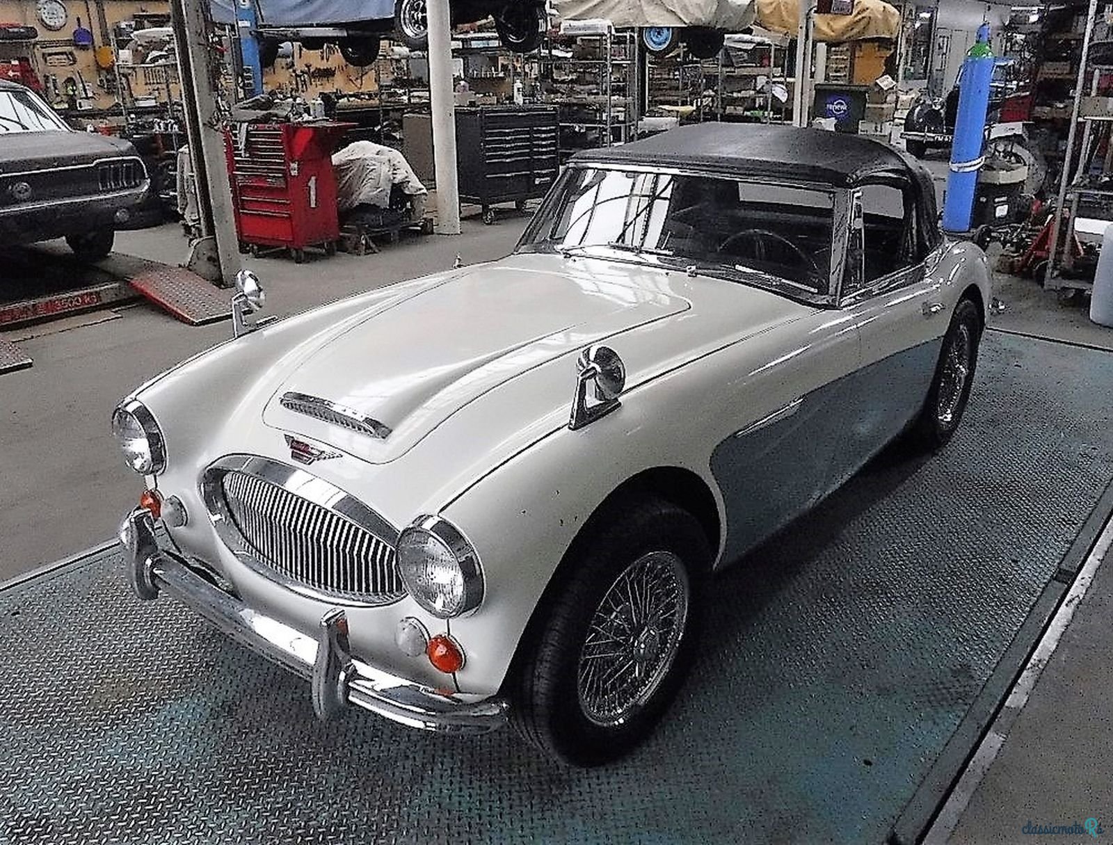 1965' Austin-Healey 3000 photo #3