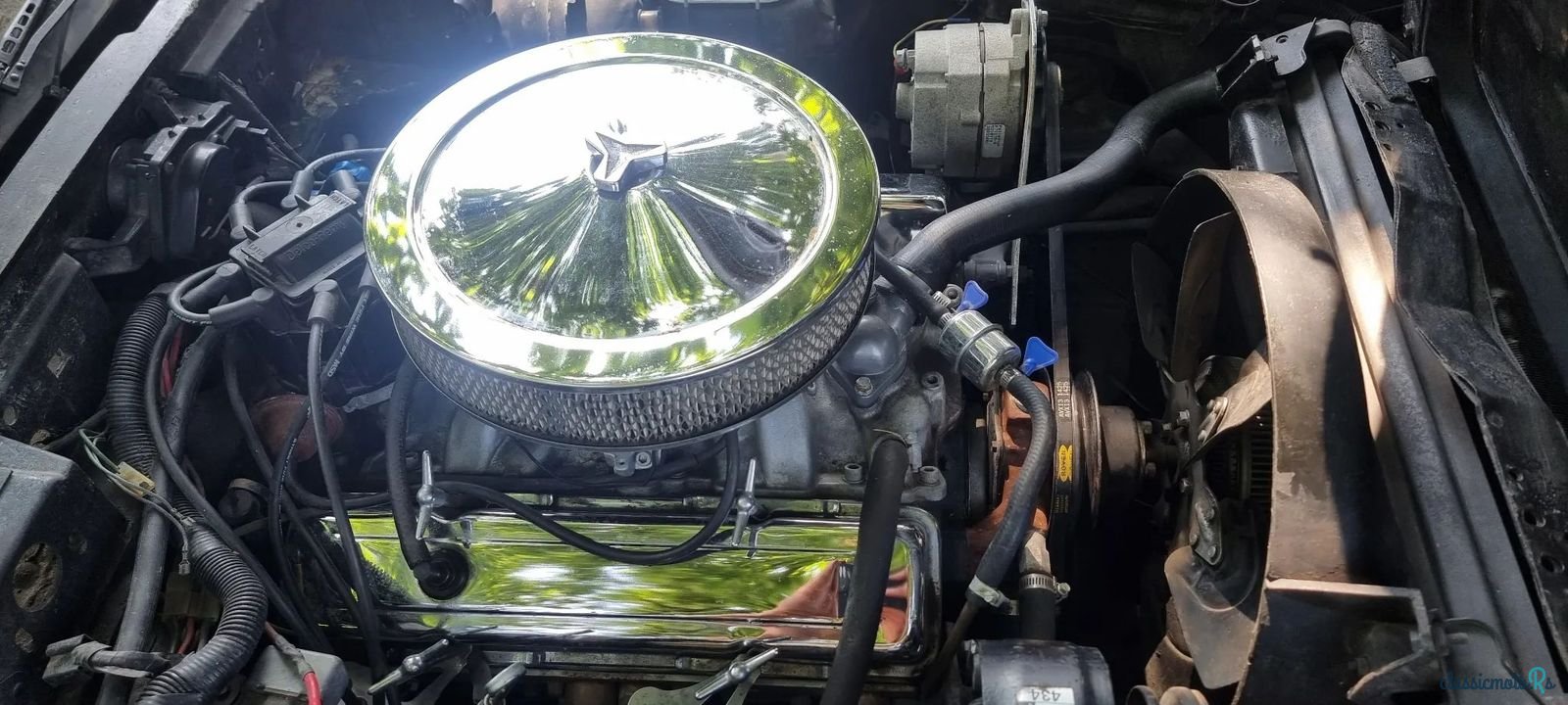 1969' Chevrolet Corvette photo #5