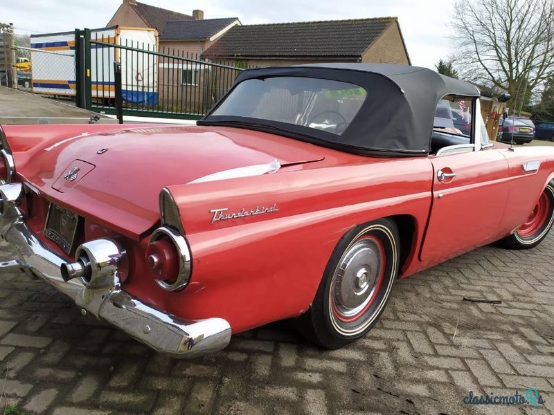 1955' Ford Thunderbird photo #1