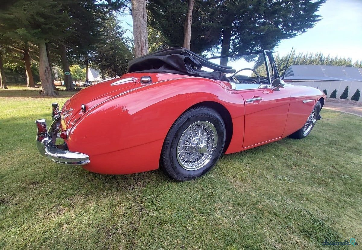 1963' Austin-Healey 3000 photo #6