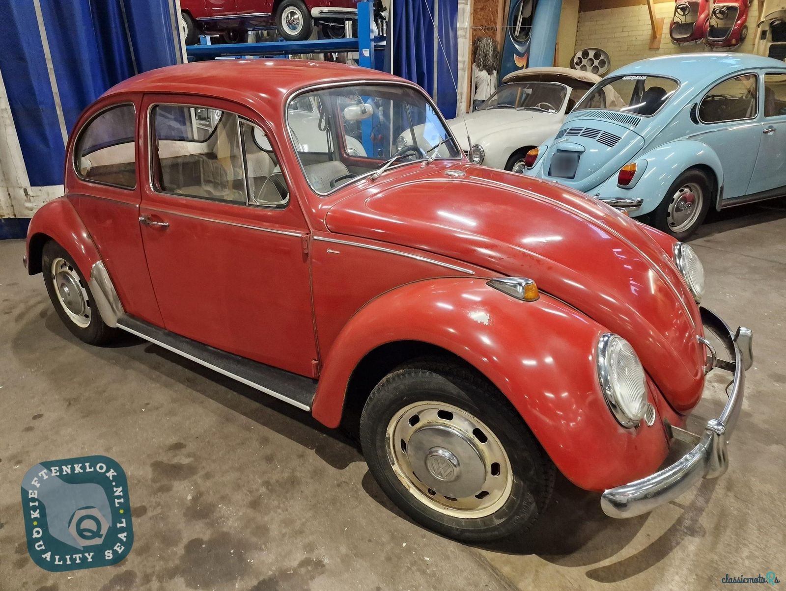 1966' Volkswagen Beetle photo #3