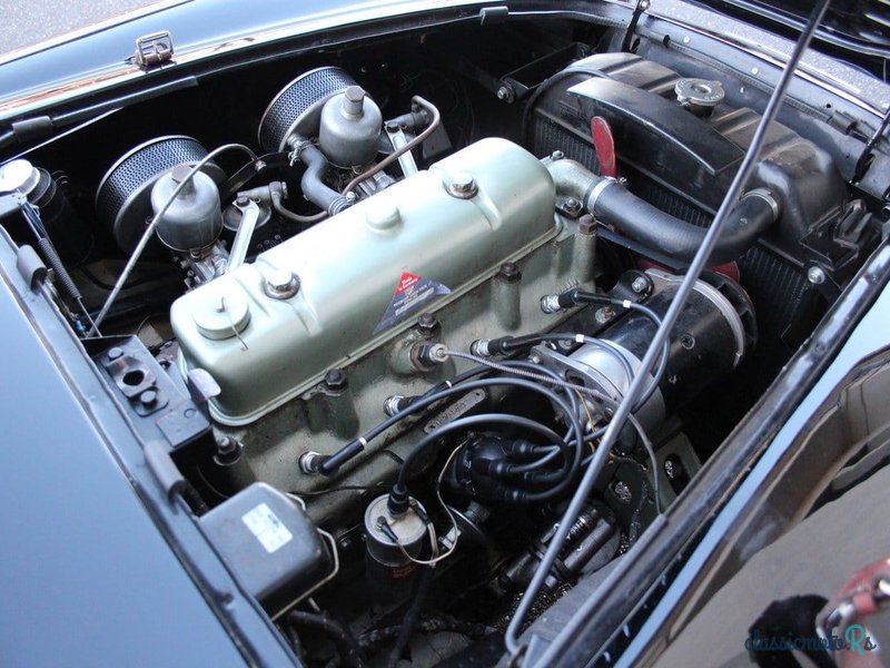 1954' Austin-Healey 100/4 photo #4
