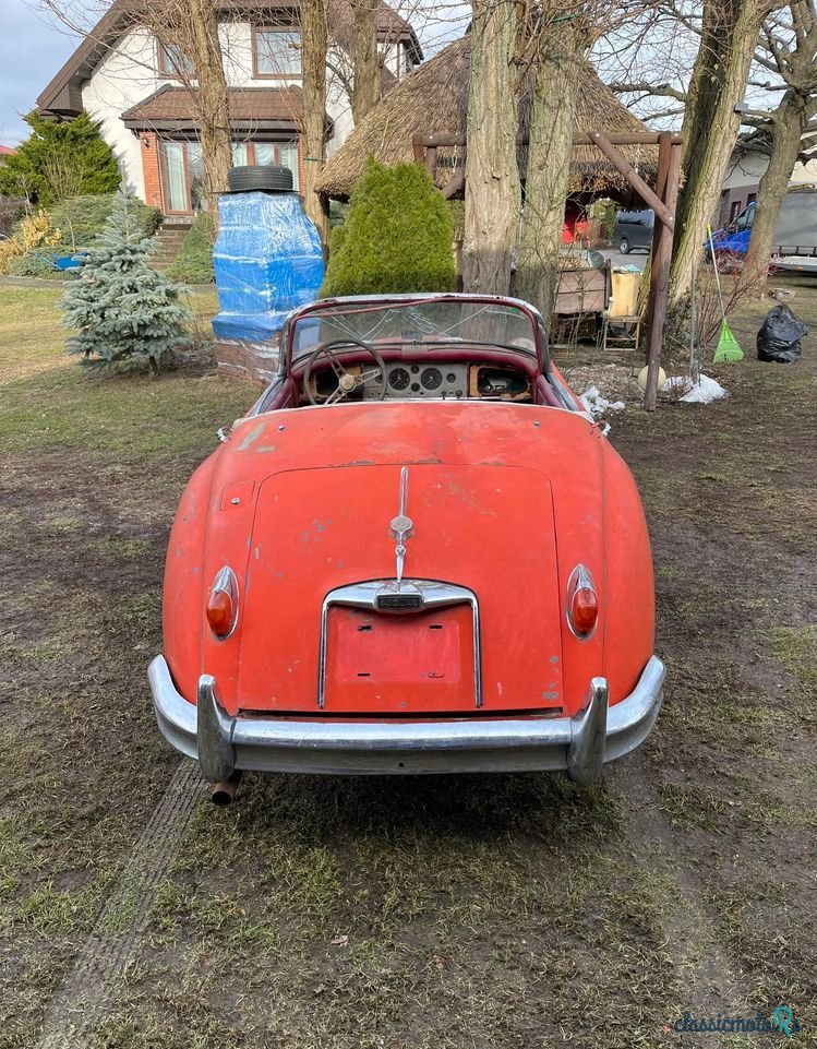 1959' Jaguar XK photo #4