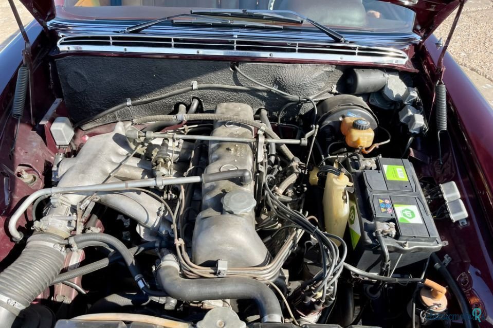 1967' Mercedes-Benz 250 photo #5