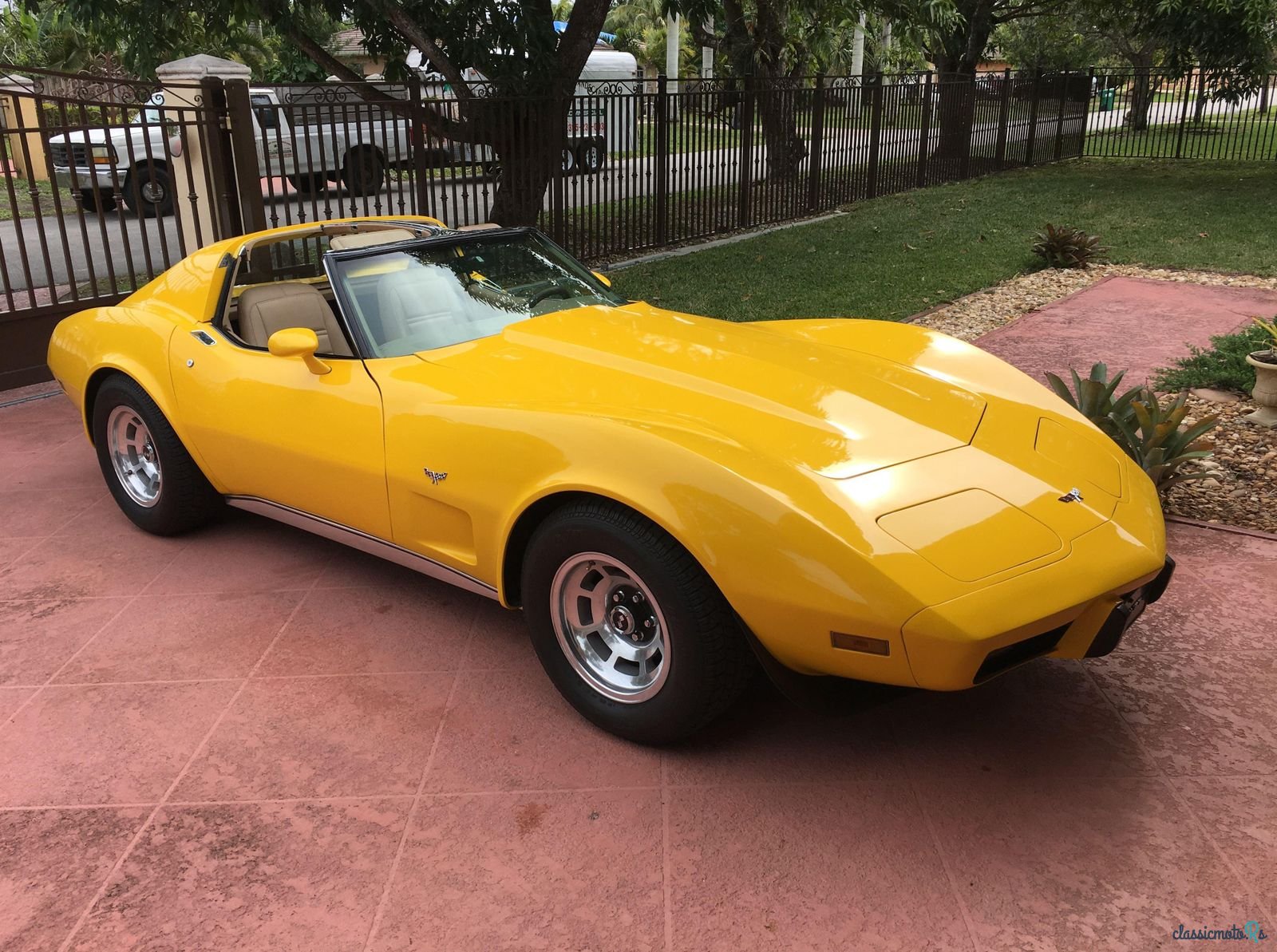 1977' Chevrolet Corvette photo #1