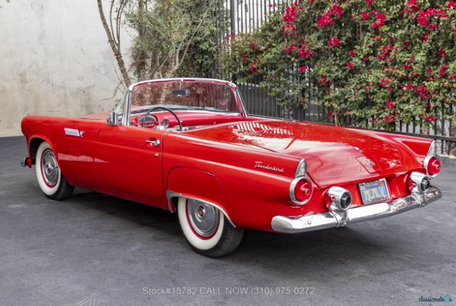 1955' Ford Thunderbird photo #4