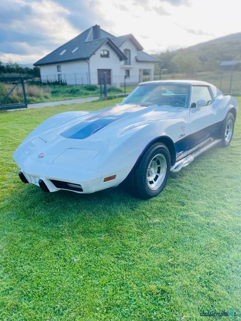 1976' Chevrolet Corvette photo #1