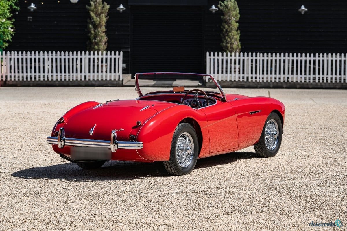 1955' Austin-Healey 100/4 photo #2